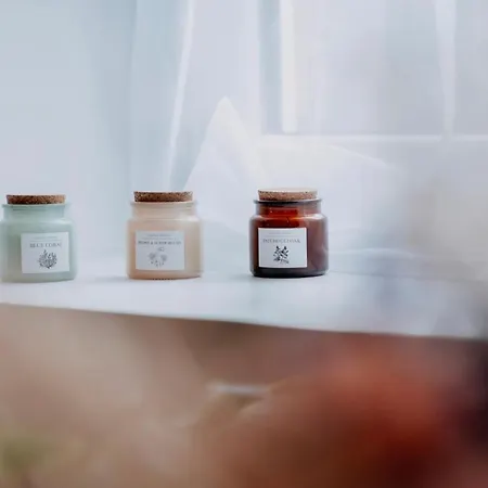 Bel Ecrin Sur L'ile De - Gare Tgv, Chu, Congres 아파트