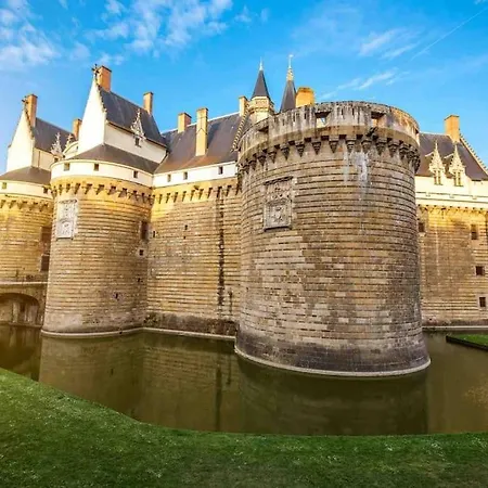 Bel Ecrin Sur L'ile De - Gare Tgv, Chu, Congres Lägenhet