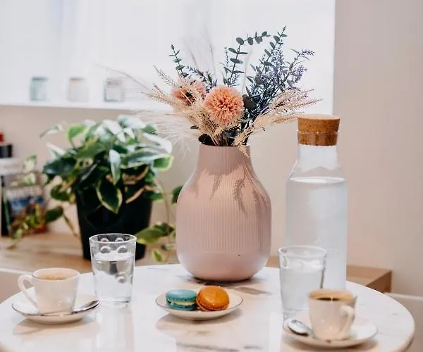 Bel Ecrin Sur L'ile De - Gare Tgv, Chu, Congres *