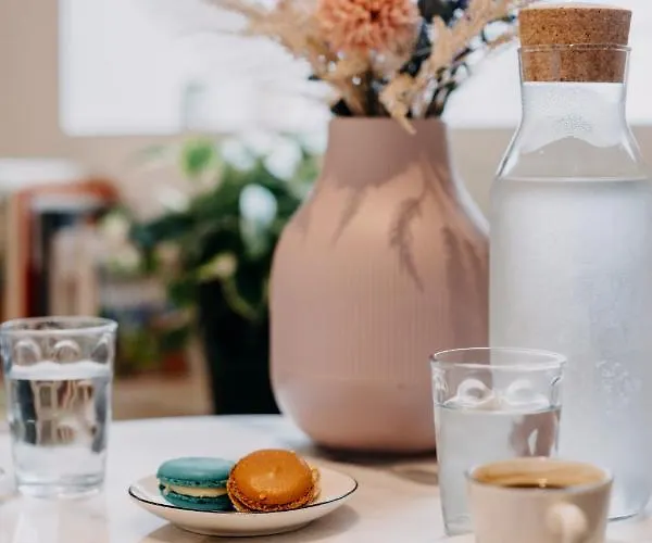 شقة Bel Ecrin Sur L'ile De - Gare Tgv, Chu, Congres نانت