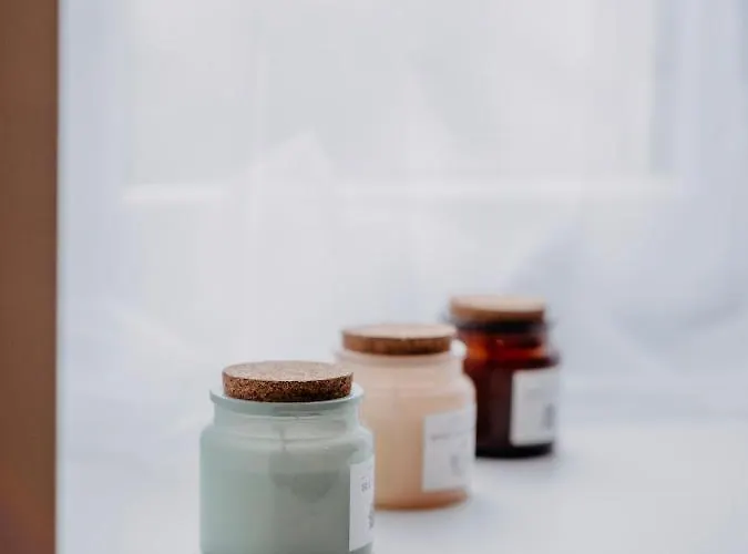 Bel Ecrin Sur L'ile De - Gare Tgv, Chu, Congres نانت