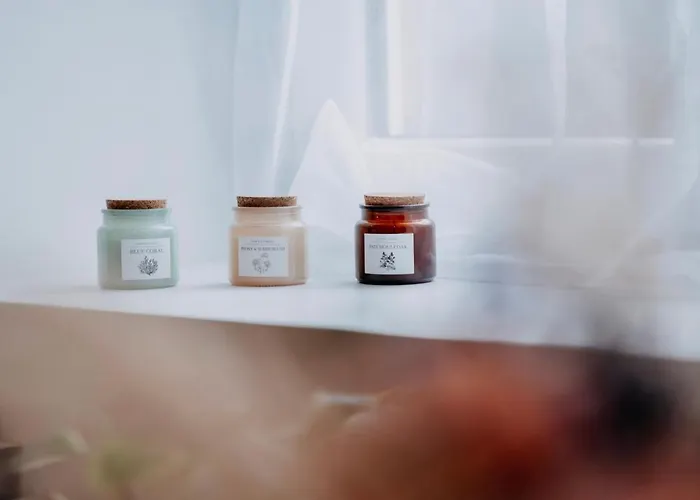 Bel écrin Sur L'île De - Gare Tgv, Chu, Congres Apartamento