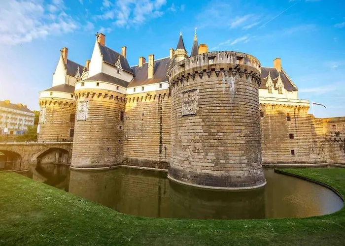 Bel écrin Sur L'île De - Gare Tgv, Chu, Congres Apartamento